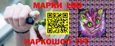трава Пугачёв