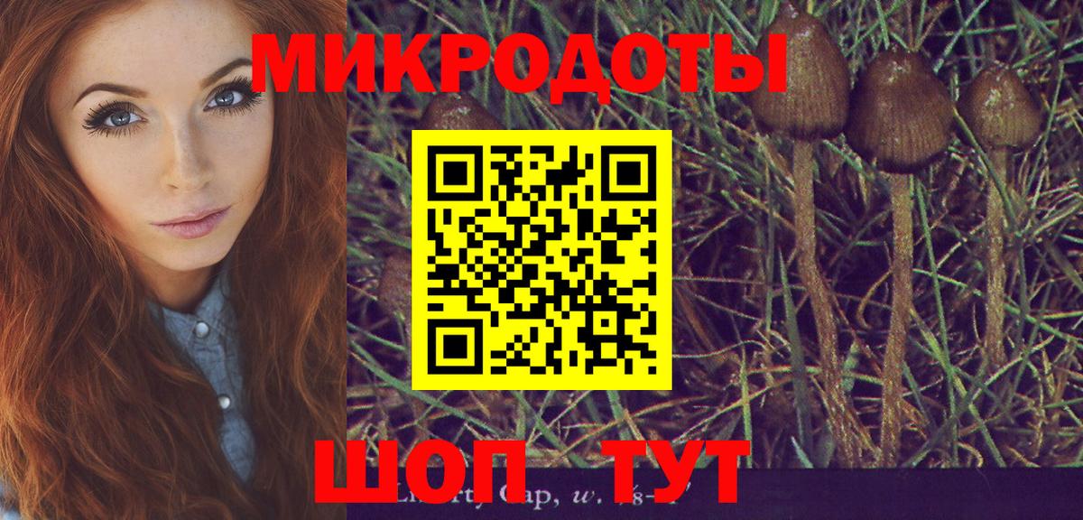 Галлюциногенные грибы Cubensis  Вход с VPN  Новороссийск  Галлюциногенные грибы ЛСД 