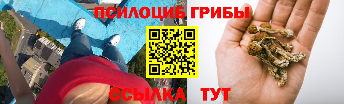 Псилоцибиновые грибы мухоморы Новороссийск